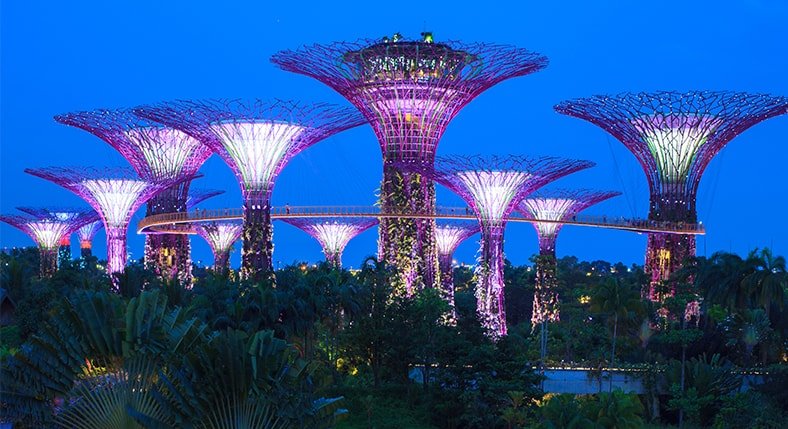 Singapore Garden By The Bay Attraction Tour