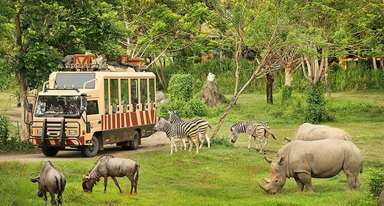 Safari & marine Park