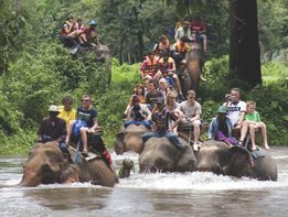 Elephant Ride in Bali