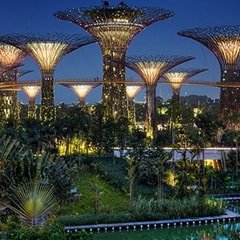 Gardens by the Bay