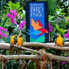 Jurong Bird Park