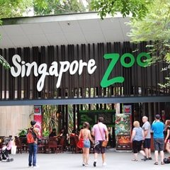 Singapore Zoo