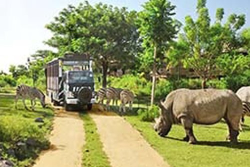 Bali Safari & Marine Park